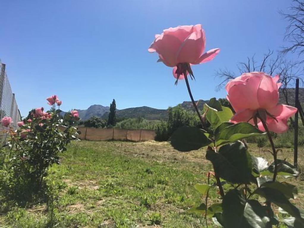 Casa Rural La Maestra Ronda Exteriér fotografie