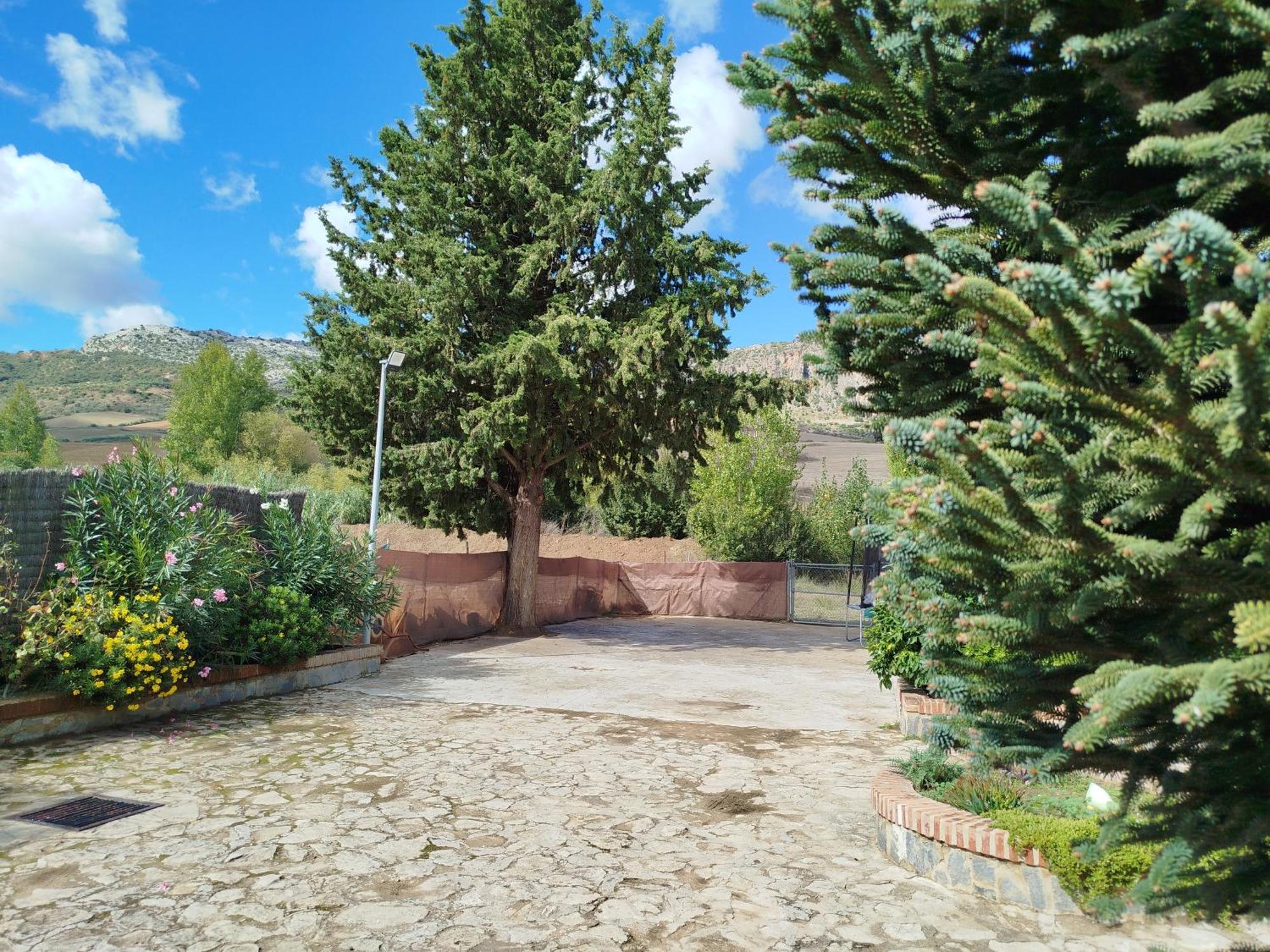 Casa Rural La Maestra Ronda Exteriér fotografie
